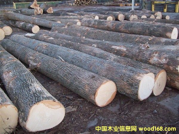 ����ˮ������Ԕ����B