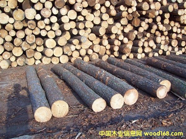 �����S�ɵ�Ԕ����B