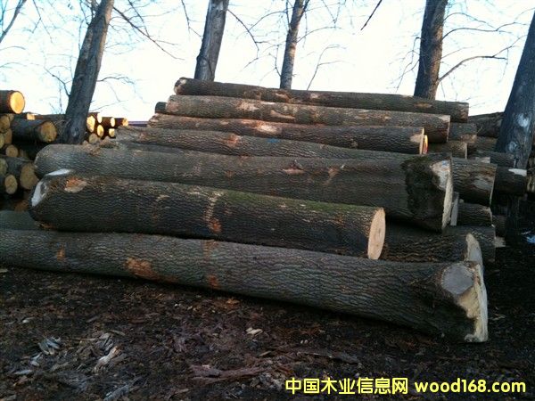 �W��ˮ������Ԕ����B