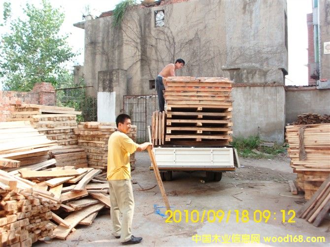 �c���鿴��ľ��ľ�Ŵ�DƬ