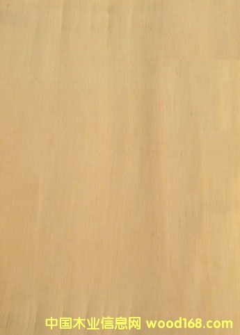 ɽ�𻨵�Ԕ����B