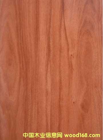 �t�ϙ��Ԕ����B