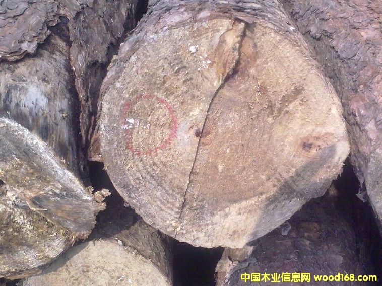 ��ľ�ΰ��Ԕ��(x��)��B