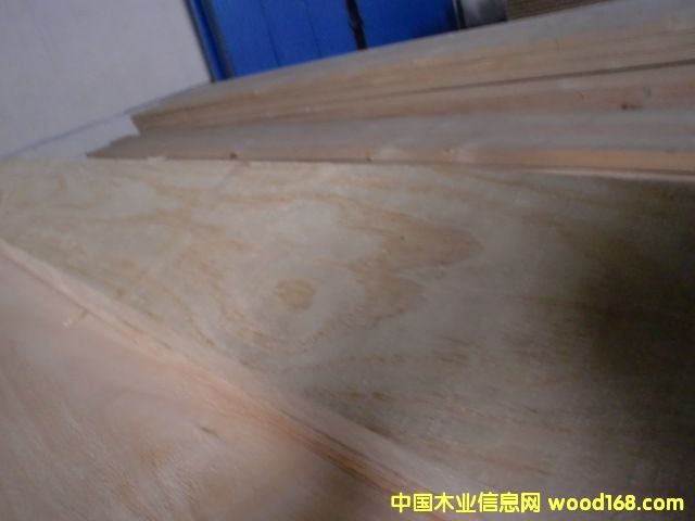 �����mݗ���ɟo��(ji��)�ĵ�Ԕ��(x��)��B