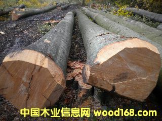 ��ľ �����r(sh��)�ĵ�Ԕ��(x��)��B