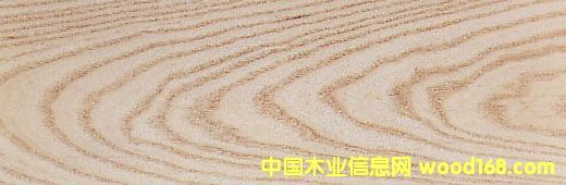 �c���鿴ˮ�����Ŵ�DƬ