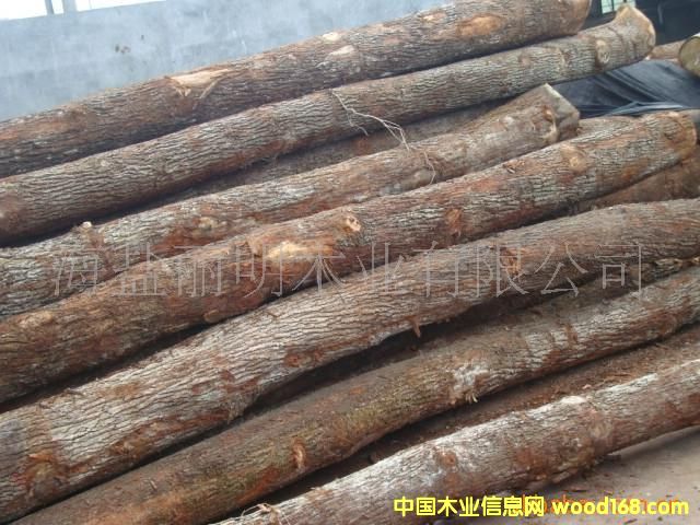 �c(di��n)���鿴�W���M(j��n)����ľԭľ��Ԕ��(x��)�Y��