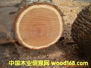 �c(di��n)���鿴�W���M(j��n)����ľԭľ��Ԕ��(x��)�Y��