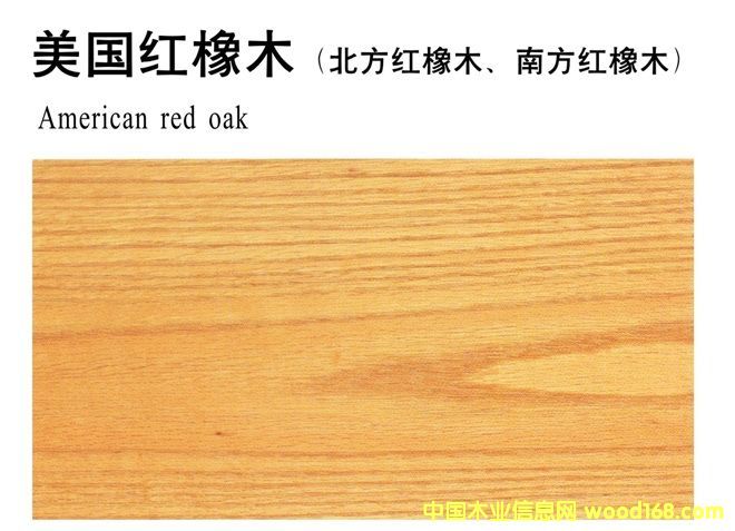 �����t��ľ��Ԕ��(x��)��B