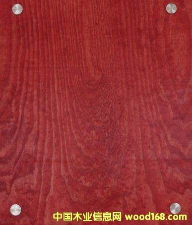 Gz9004���׷Q(ch��ng)1.5�t�壩��Ԕ��(x��)��B