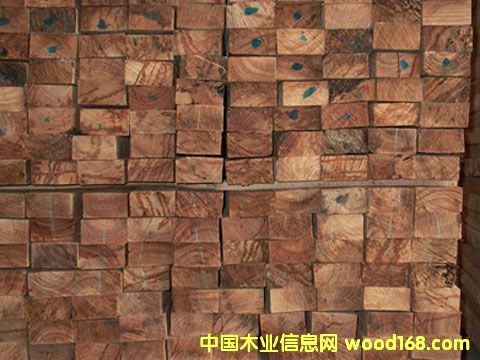 ��˹骵�Ԕ����B