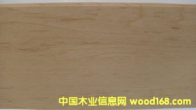 �w��ľ�ذ��Ԕ��(x��)��B