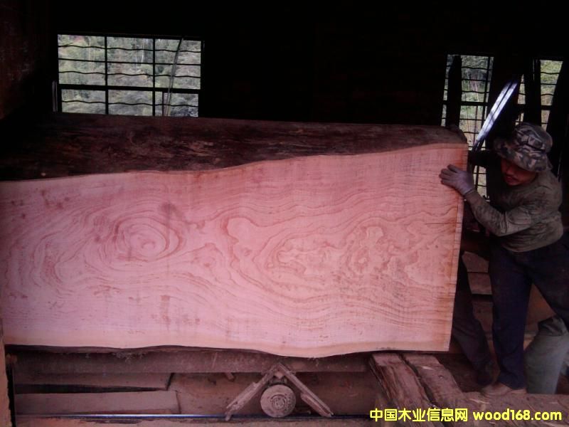 ��ľ��Ԕ��(x��)��B