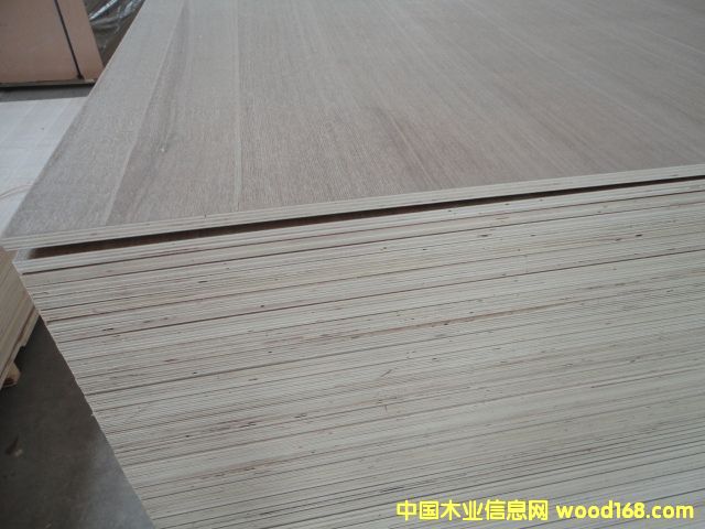 ����ģ�����z�ϰ������b���Ԕ��(x��)��B