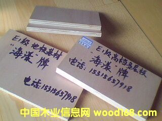 E1���ߙn�h(hu��n)���ذ���ĵ�Ԕ����B