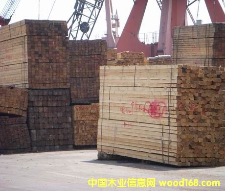 ���_˹�M(j��n)�ڰ���ľ����Ԕ��(x��)��B