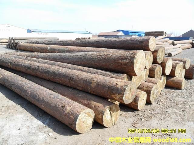 ��ľԭľ��Ԕ����B