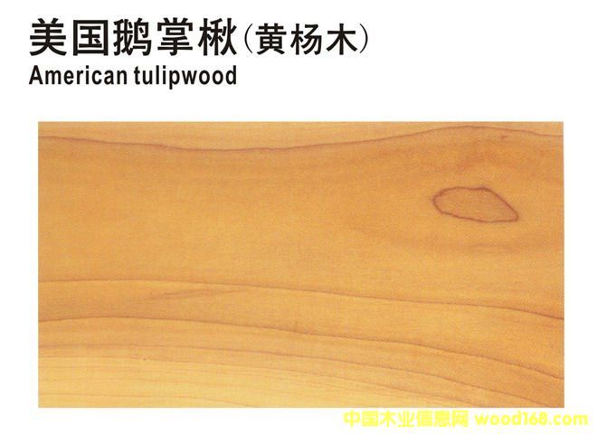 �����Z���(�S��ľ)��Ԕ��(x��)��B