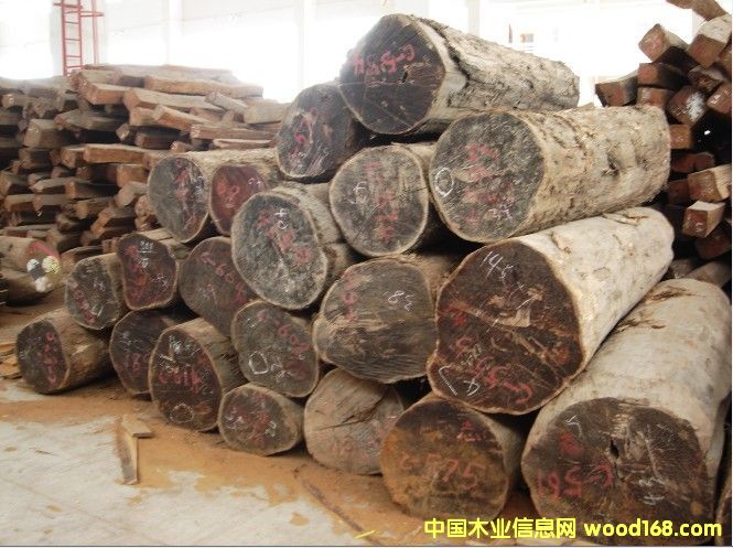 ������ľ�Ҿ߲ĵ�Ԕ��(x��)��B