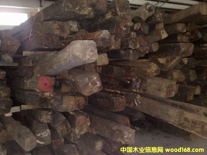 �c���鿴�t��֦2�Ŵ�DƬ