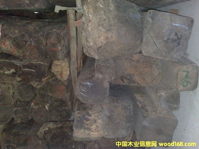 �c���鿴�t��֦3�Ŵ�DƬ