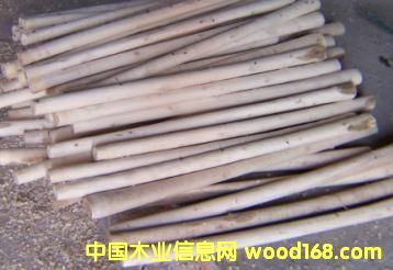 �c(di��n)���鿴�z�^�U�Ŵ�DƬ