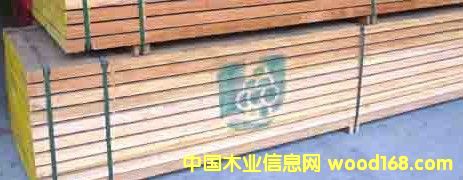 ����ľ��Ԕ��(x��)��B