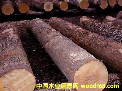 �y��ľ��Ԕ��(x��)��B