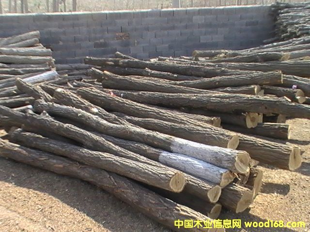 ��ľ��Ԕ��(x��)��B