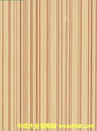 �Ƽ�ľľƤ��Ԕ��(x��)��B