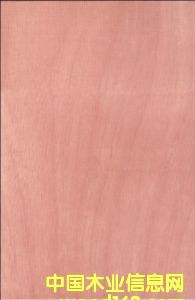 �һ�о����Ӱ�Ҿ߰�