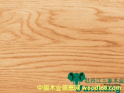 ��ľ����A��(j��)���y