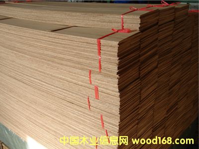 ��������Ԕ����B