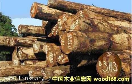 ��ľ���������_�T���󏽣���Ԕ��(x��)��B