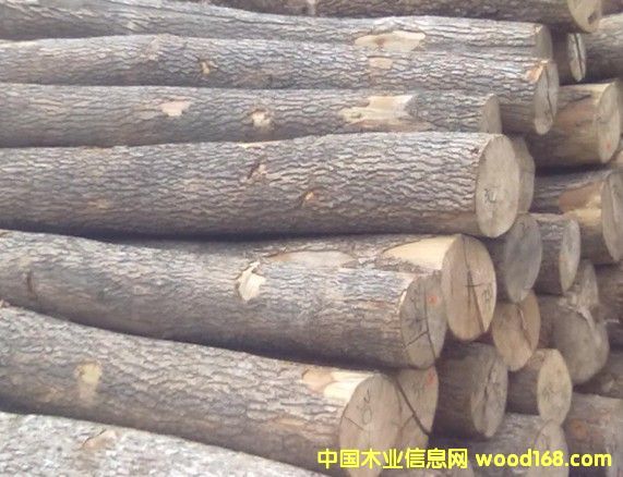 �����mˮ������Ԕ����B