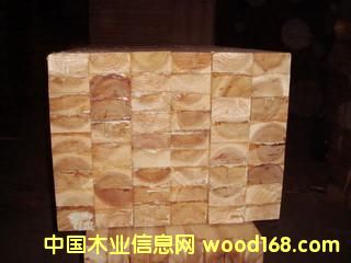 �������zľ��Ԕ��(x��)��B