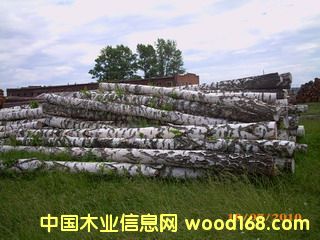 ��ľƴ���Ԕ��(x��)��B