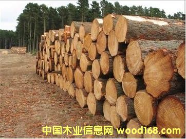 [��] �W�޳���ԭľ/���