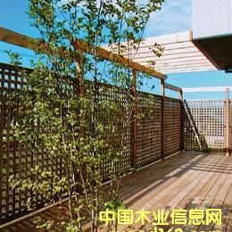 ���ڵ�Ԕ��(x��)��B