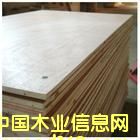 ��о��Ԕ����B