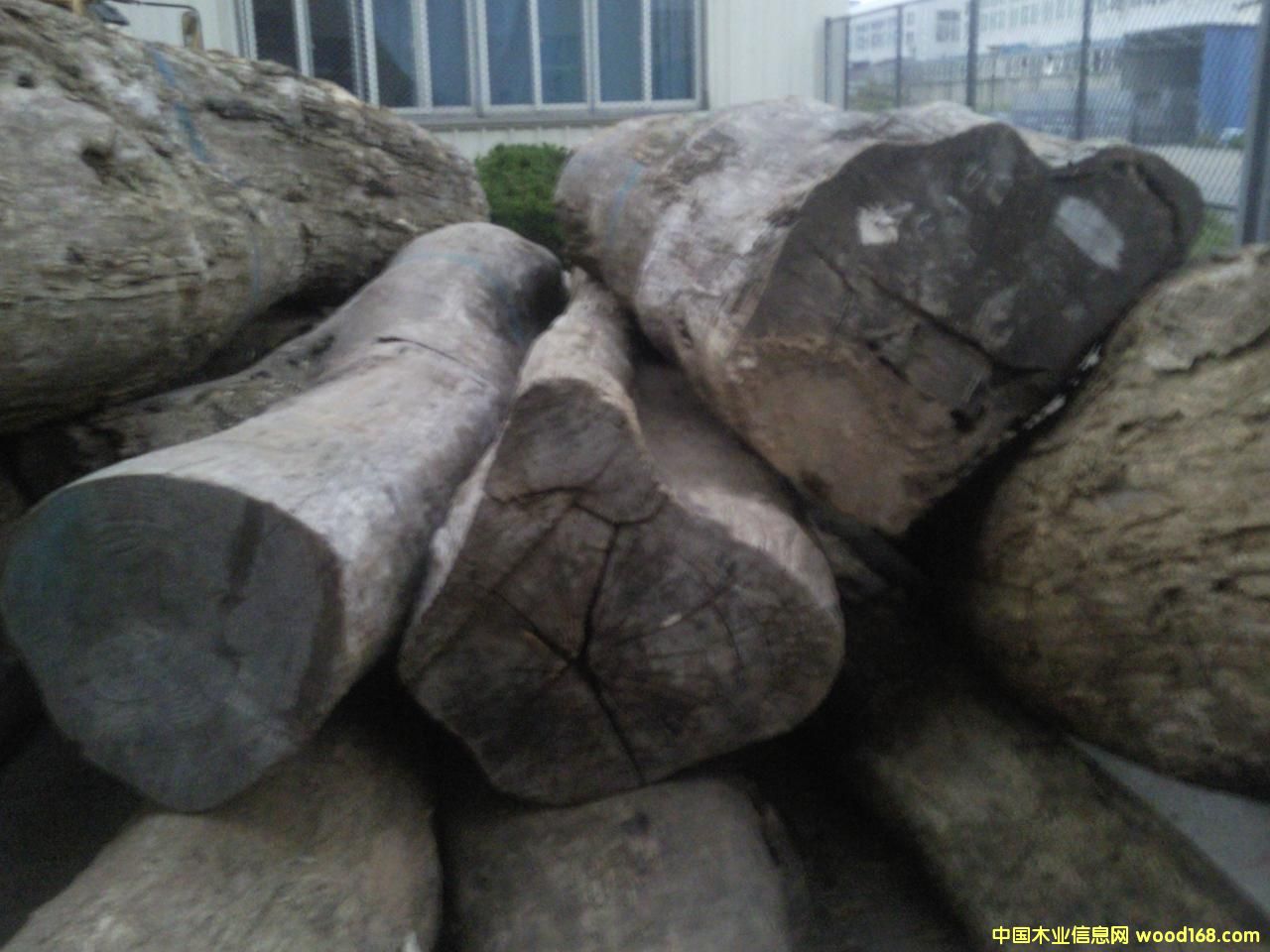 �ϓ뻨��ԭľ��Ԕ��(x��)��B