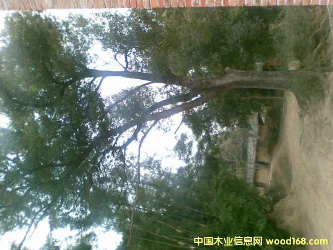 �c(di��n)���鿴����Ŵ�DƬ