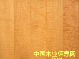 ���ô�Ӳ��ľ��Ԕ��(x��)��B