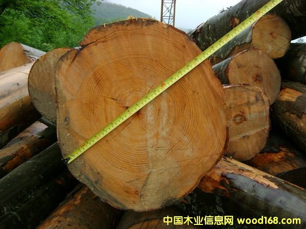 �W�޵���ľ��Ԕ����B