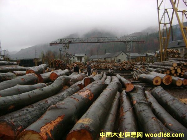 �W�޵���ľ2��Ԕ����B