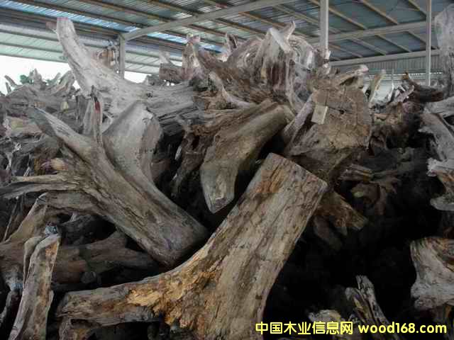 �ϓ�t��֦���^�������Ԕ��(x��)��B