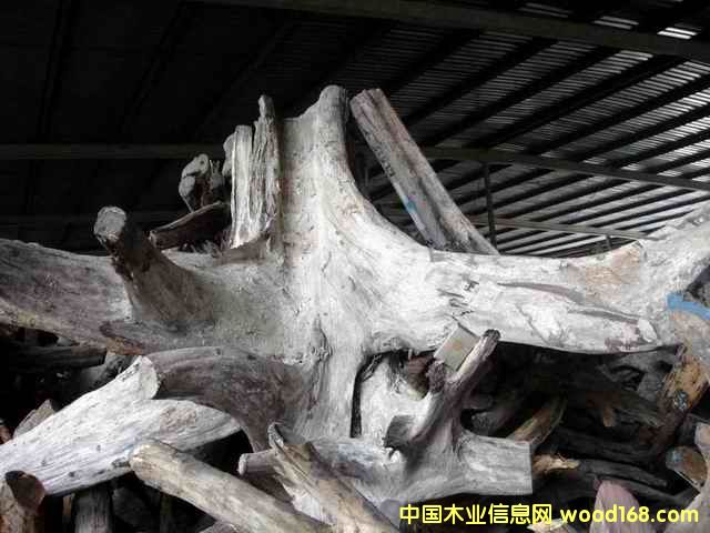 �ϓ�t��֦���^�������Ԕ��(x��)��B