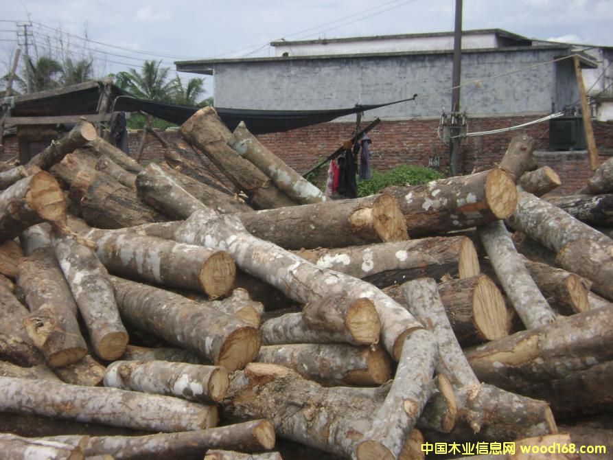   ���zľԭľ ��Ԕ��(x��)��B