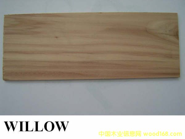 ����(gu��)��ľW(w��ng)illow��Ԕ��(x��)��B