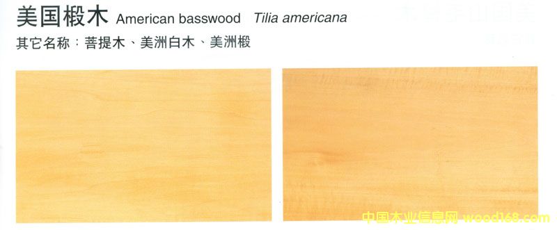 ����(gu��)�ľBasswood��Ԕ��(x��)��B